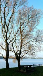 Bare tree by lake against sky