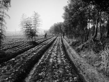 Scenic view of farm against sky