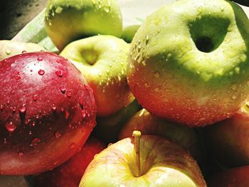 Close-up of wet fresh apples on plate