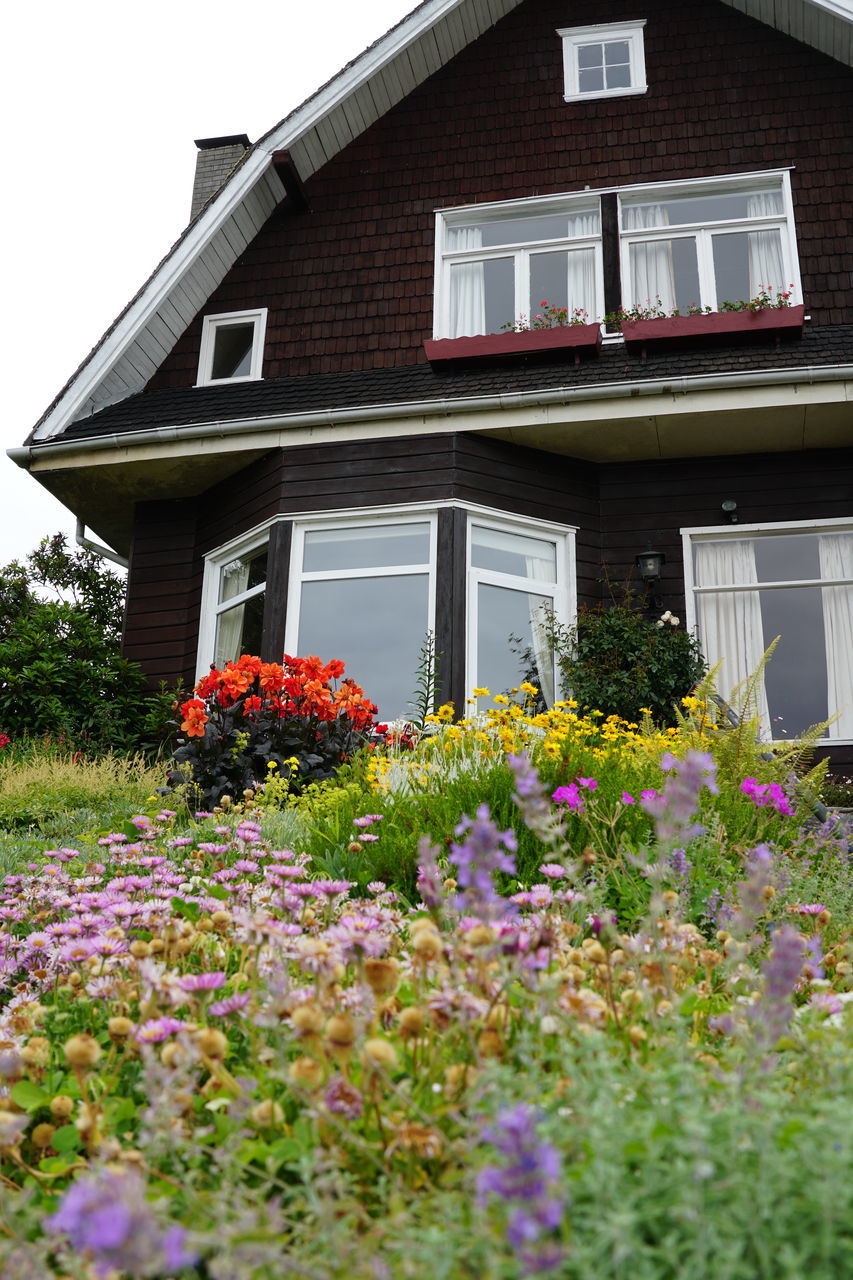 FLOWERS ON FIELD BY BUILDING