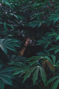 Portrait of woman photographing plants