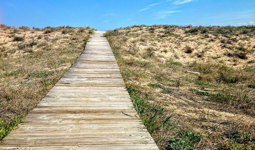 Narrow wooden walkway along plants