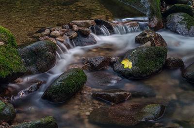 Scenic view of waterfall