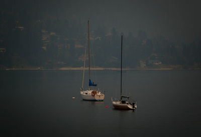 Sailboats sailing on river against sky at night