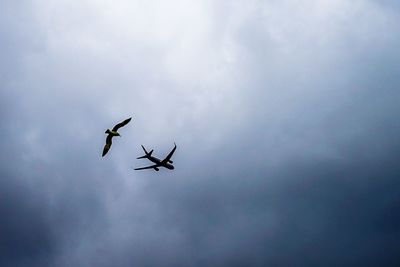 Low angle view of silhouette airplane flying in sky