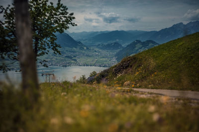 Grassy field against swiss alps