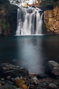 Scenic view of waterfall in forest