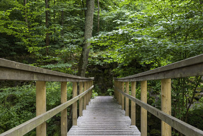 Footbridge amidst trees in forest