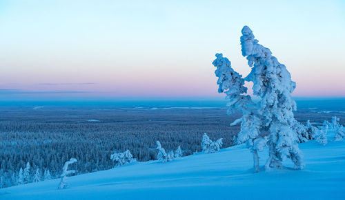 Scenic view of frozen field against sky during winter