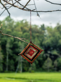 Close-up of basketball hoop