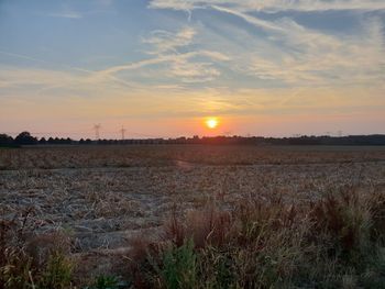 Scenic view of field against sky during sunset