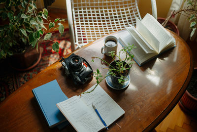 High angle view of potted plant on table