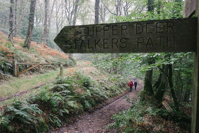 Road sign by trees in forest