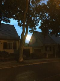 Trees and houses against sky at dusk