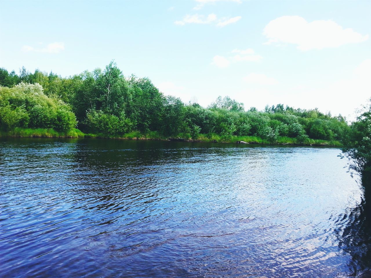 water, tree, waterfront, tranquil scene, tranquility, sky, scenics, beauty in nature, reflection, nature, lake, rippled, idyllic, growth, green color, cloud, day, cloud - sky, river, outdoors