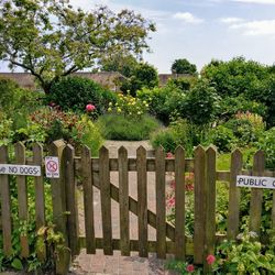 View of text on fence against plants in yard