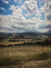 Scenic view of field against sky