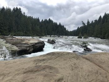 Scenic view of river amidst trees against sky