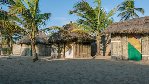 Palm trees on beach against sky