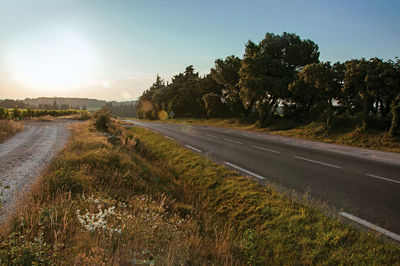 Empty road along trees and plants against sky