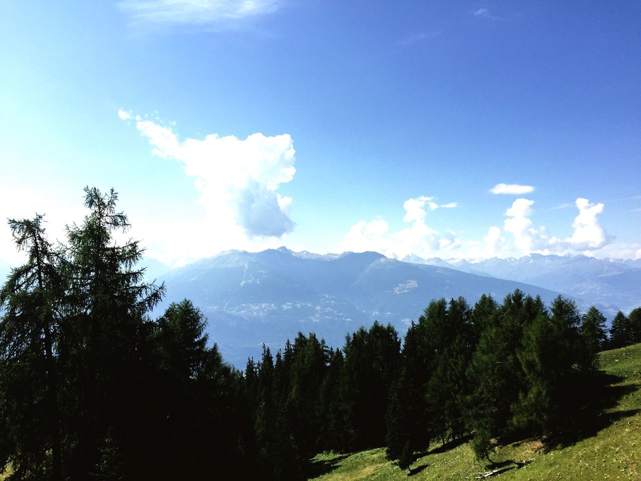 tree, tranquil scene, mountain, tranquility, scenics, sky, beauty in nature, landscape, mountain range, nature, cloud - sky, blue, non-urban scene, cloud, idyllic, growth, forest, green color, day, outdoors