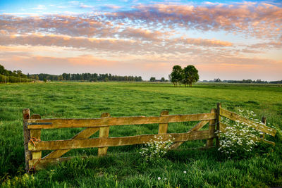 Scenic view of field against sky during sunset