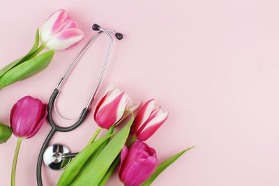 Stethoscope with tulip flowers on a pink background with copy space