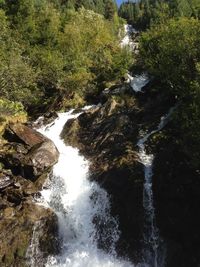 Scenic view of waterfall in forest