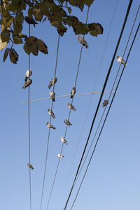 Low angle view of electricity pylon