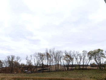 Bare trees on field against sky