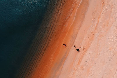 Aerial view of people on beach