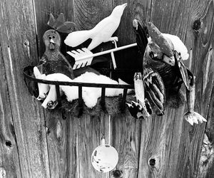 Clothes hanging on wooden table in yard