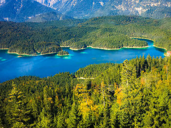 Scenic view of lake eibsee surrounded by lush forests