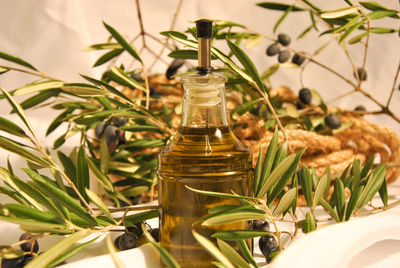 Virgin olive oil in the oil and olive branches