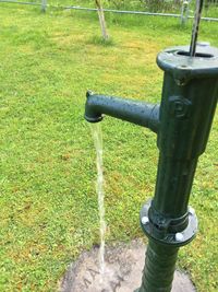 View of grassy field