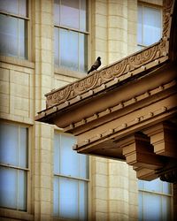 Low angle view of building