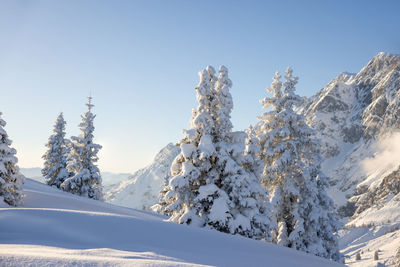 Wintertime scene. alpine winter landscape and forest in the alps during the sunset