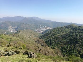 Scenic view of landscape against clear sky