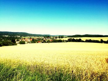 Scenic view of landscape against clear blue sky