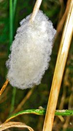 Close-up of white background