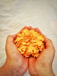 Close-up of person hand holding red rose flower