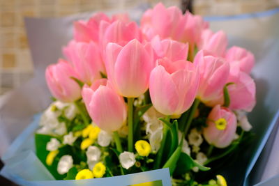 Close-up of pink tulips on table