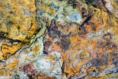 Full frame shot of rock on tree trunk