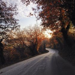 Road amidst trees during autumn