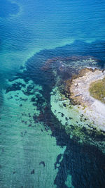 High angle view of sea shore