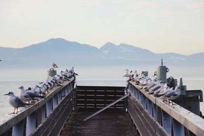 Scenic view of pier over lake