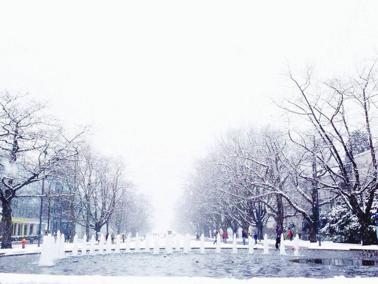 winter, snow, tree, cold temperature, season, bare tree, weather, clear sky, large group of people, nature, branch, park - man made space, lifestyles, copy space, built structure, covering, leisure activity, day, outdoors