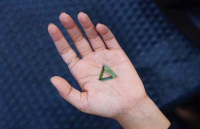 Close-up of hand holding insect