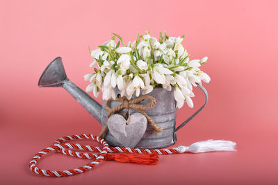 Close-up of flowering plant against red wall