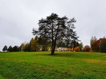 Trees on field against sky